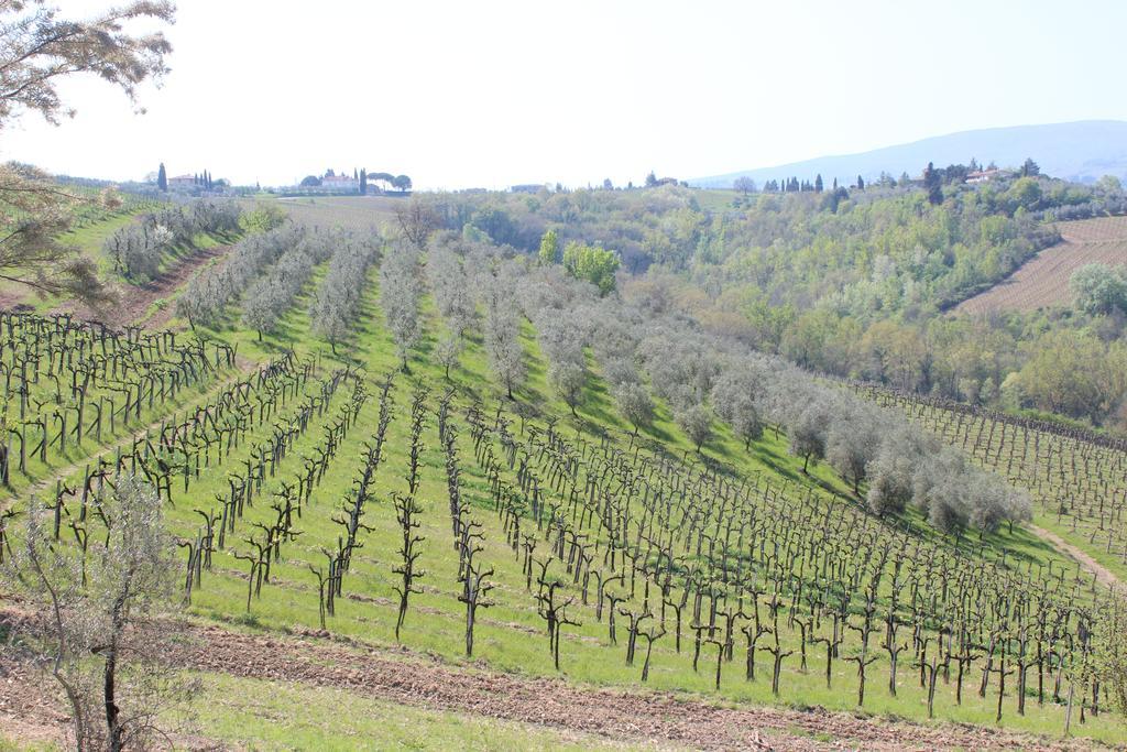 سان جيمينيانو Bio Agriturismo Podere Pretoia المظهر الخارجي الصورة