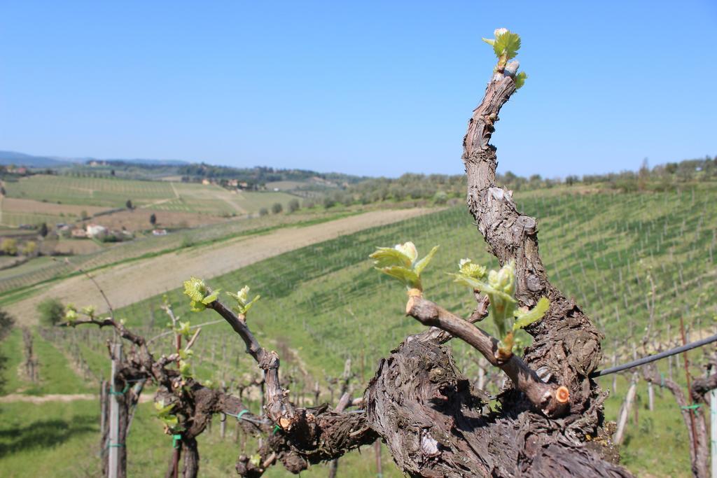 سان جيمينيانو Bio Agriturismo Podere Pretoia المظهر الخارجي الصورة